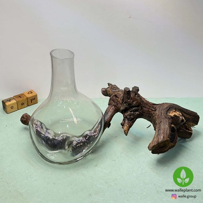 گلدان شیشه و چوب 003