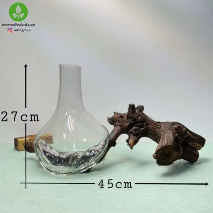 گلدان شیشه و چوب 003