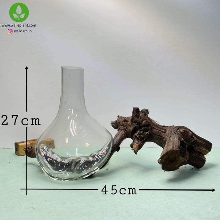گلدان شیشه و چوب 003