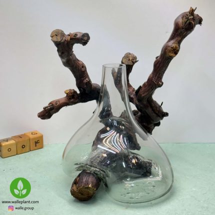 گلدان شیشه و چوب 004