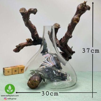 گلدان شیشه و چوب 004