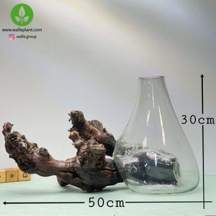 گلدان شیشه و چوب 005