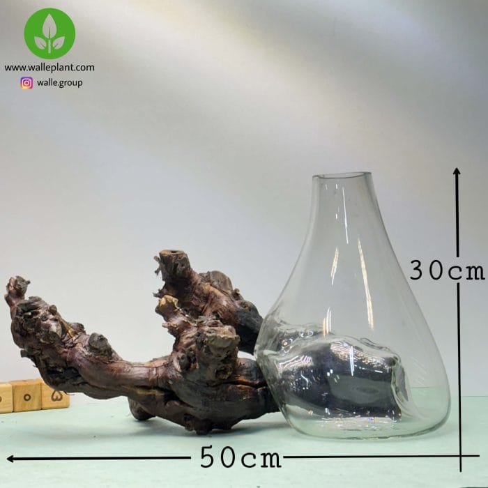 گلدان شیشه و چوب 005