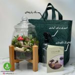 تراریوم آهو + پایه چوبی 2 - Image 5