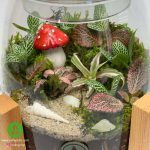 تراریوم آهو + پایه چوبی 2 - Image 2