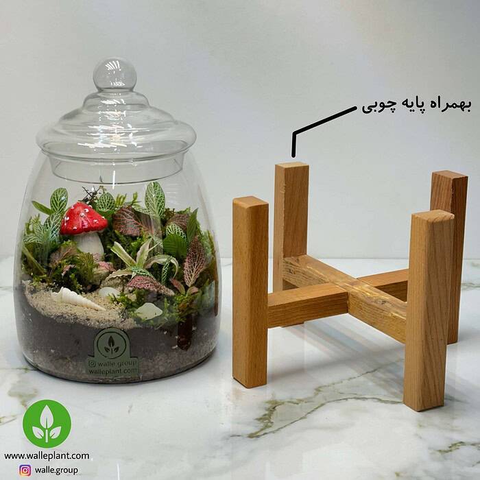 پک هدیه خاص ولنتاین - Image 5