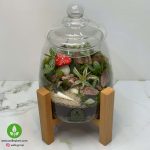 تراریوم آهو + پایه چوبی 2