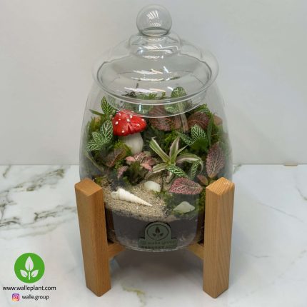 تراریوم  آهو + پایه چوبی 2