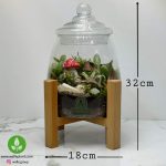 تراریوم آهو + پایه چوبی 2 - Image 4