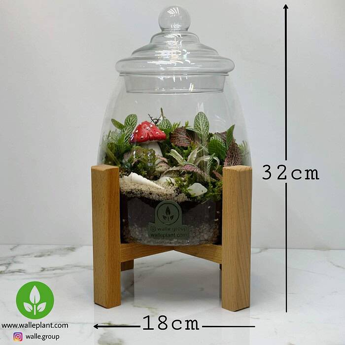 پک هدیه خاص ولنتاین - Image 3