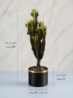افربیا تریگنا