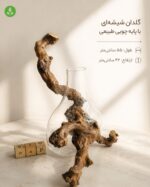 گلدان دکوراتیو شیشه و چوب