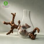 محصولات دکوراتیو