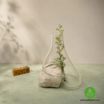 گلدان شیشه و سنگ نمک