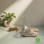 تراریوم شیشه‌ای با طراحی مدرن و طبیعی، هدیه‌ای خاص و زیبا برای هر مناسبت، ساخته شده از مواد طبیعی و شیشه‌ای،.