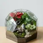 تراریوم مدل پنتاگون