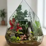 تراریوم بونسای مدل یاقوت