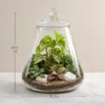 تراریوم درب دار مخروطی - Image 2