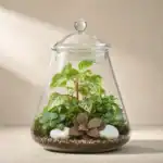 تراریوم درب دار مخروطی