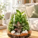 تراریوم درب دار مخروطی