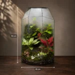 تراریوم شیشه‌ای بزرگ مه‌دار - Image 2
