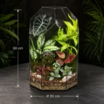 تراریوم مانتیس 50 سانت - Image 2