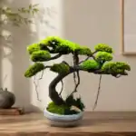 درختچه بونسای خزه تثبیت شده 50 تا 70 سانت - Image 4