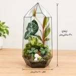 تراریوم شیشه ای مدل سورنا - Image 2