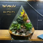 تراریوم هرمی چندوجهی «ایوا» - تصویر 2