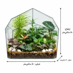 تراریوم مدل یاشار - تصویر 2